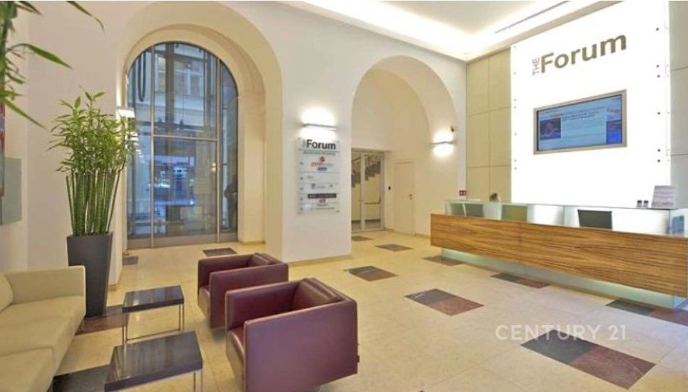 Pronájem kanceláře 466 m² – fotografie 3