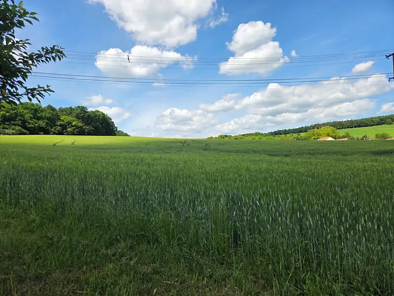 Prodej stavebního pozemku 3311 m², Snovídky – náhled fotky 3