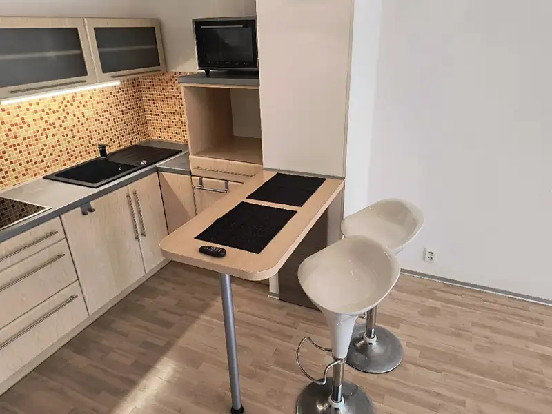 Pronájem bytu 2+kk 49 m², Olomouc – náhled fotky 1