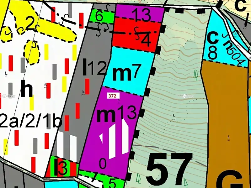 Dražba lesa 16547 m², Záhoří – náhled fotky 3