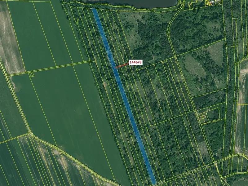 Dražba lesa 20146 m², Břehov – náhled fotky 2
