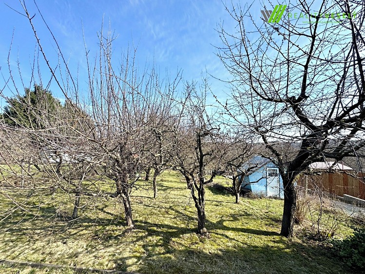 Ostatní