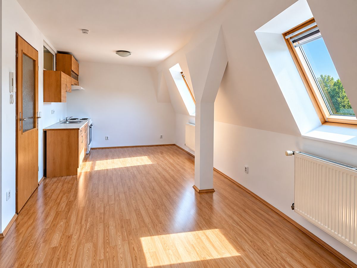 Pronájem bytu 1+kk 39 m² – fotografie 2
