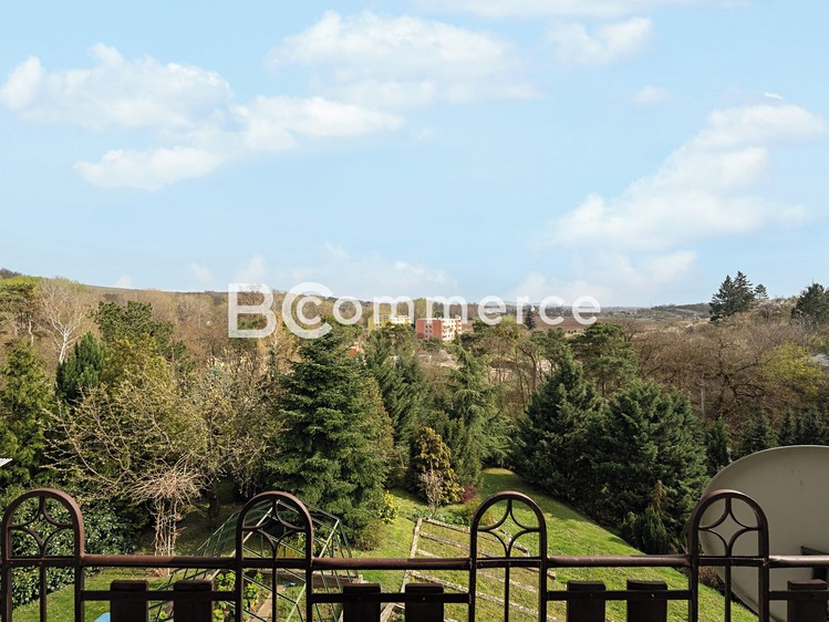 Prodej domu, 270 m² (30 z 50)