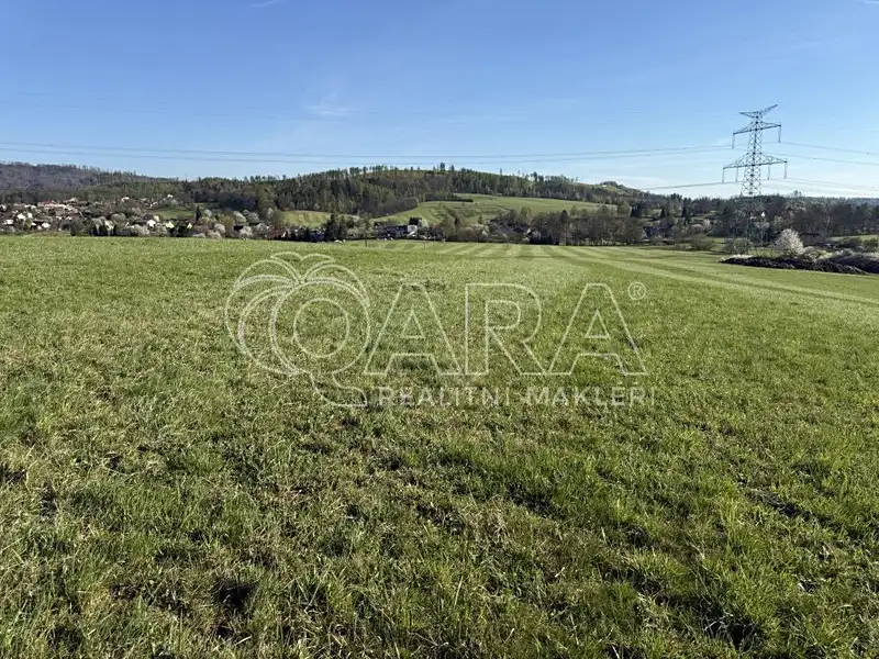 Prodej louky 101964 m², Hostašovice – náhled fotky 2
