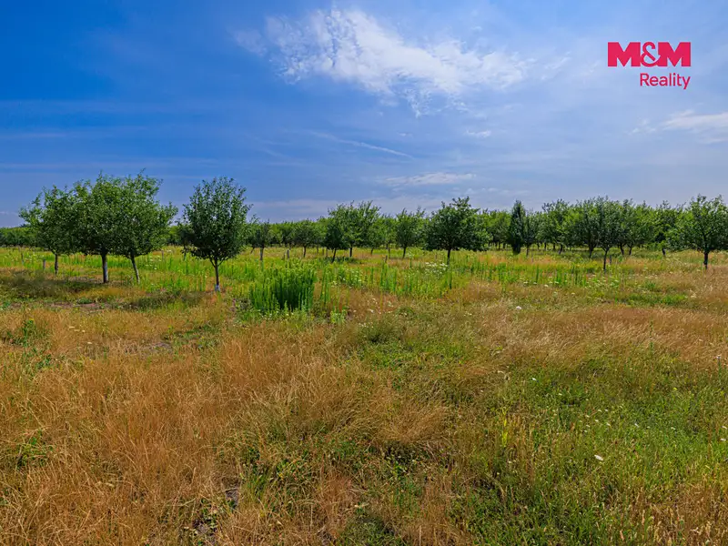 Prodej pole 123477 m², Rakvice – náhled fotky 3