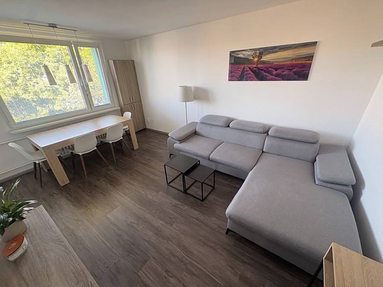 Wohnung 3+1 zur Miete, 68 m² (2 von 21)