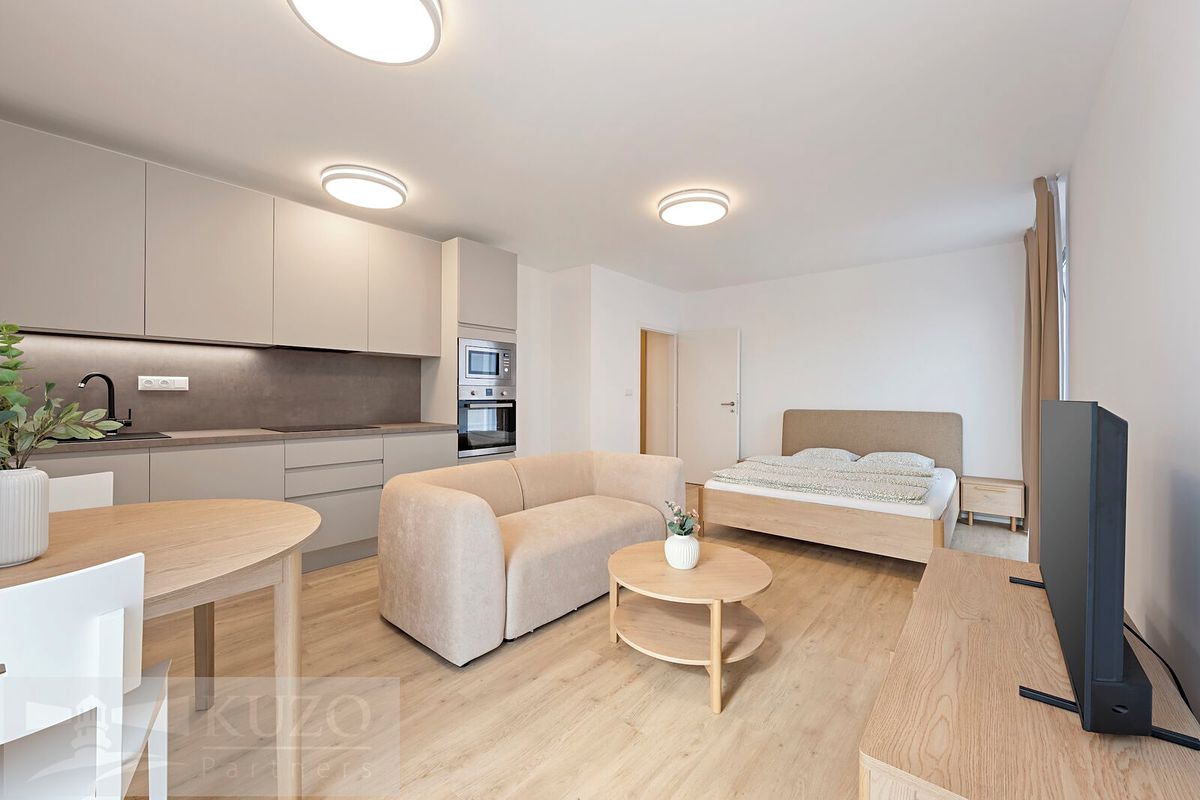 Pronájem bytu 1+kk 38 m²