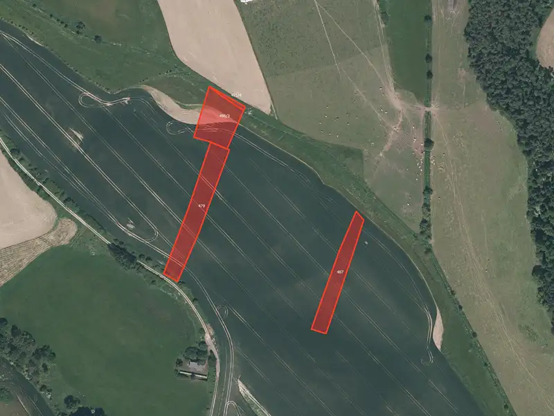 Prodej pole 41758 m², Velký Bor – náhled fotky 3