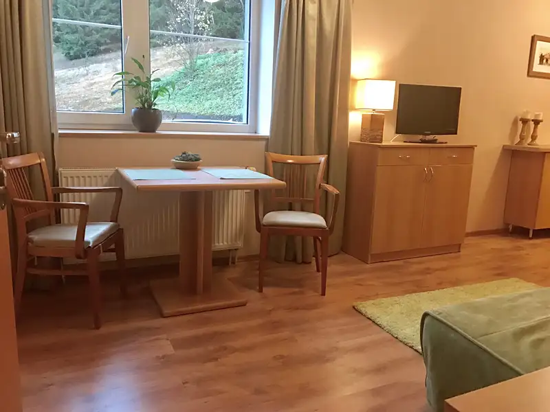 Pronájem bytu 1+kk 20 m², Harrachov – náhled fotky 3