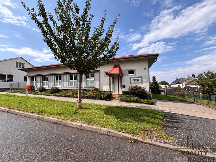 Gewerbefläche zum Kauf, 244 m² (4 von 20)