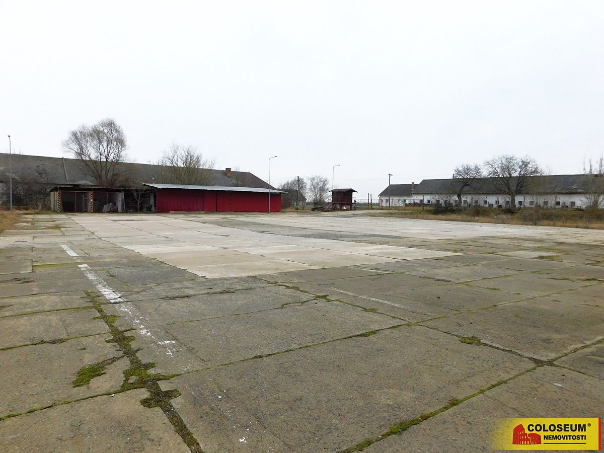 Pronájem pozemku 3500 m² – fotografie 5