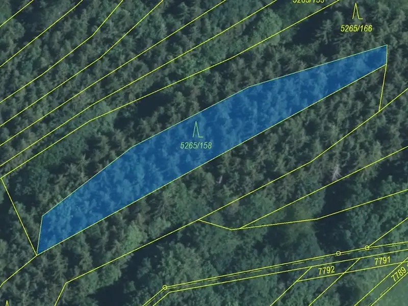Dražba lesa 1065 m², Strání – náhled fotky 2