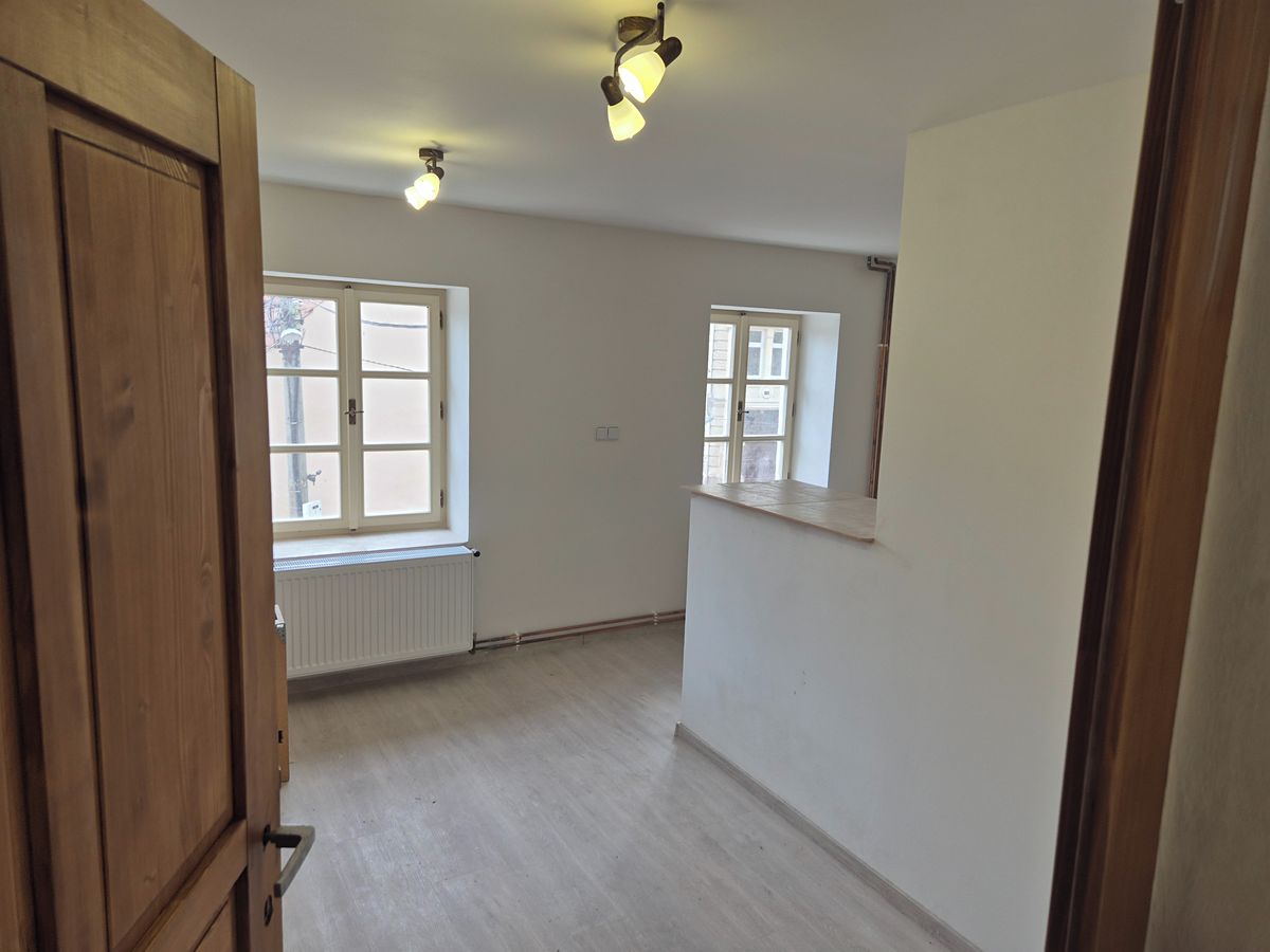 Pronájem bytu 1+1 42 m²