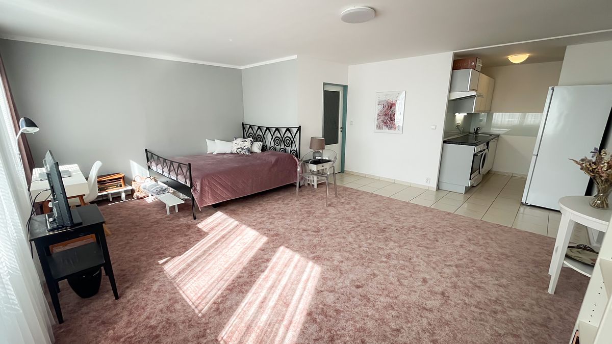 Pronájem bytu 1+kk 43 m²