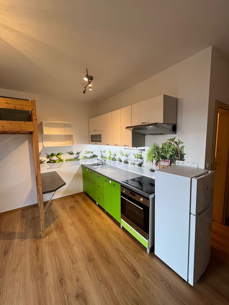 Pronájem bytu 1+kk 30 m² – fotografie 5