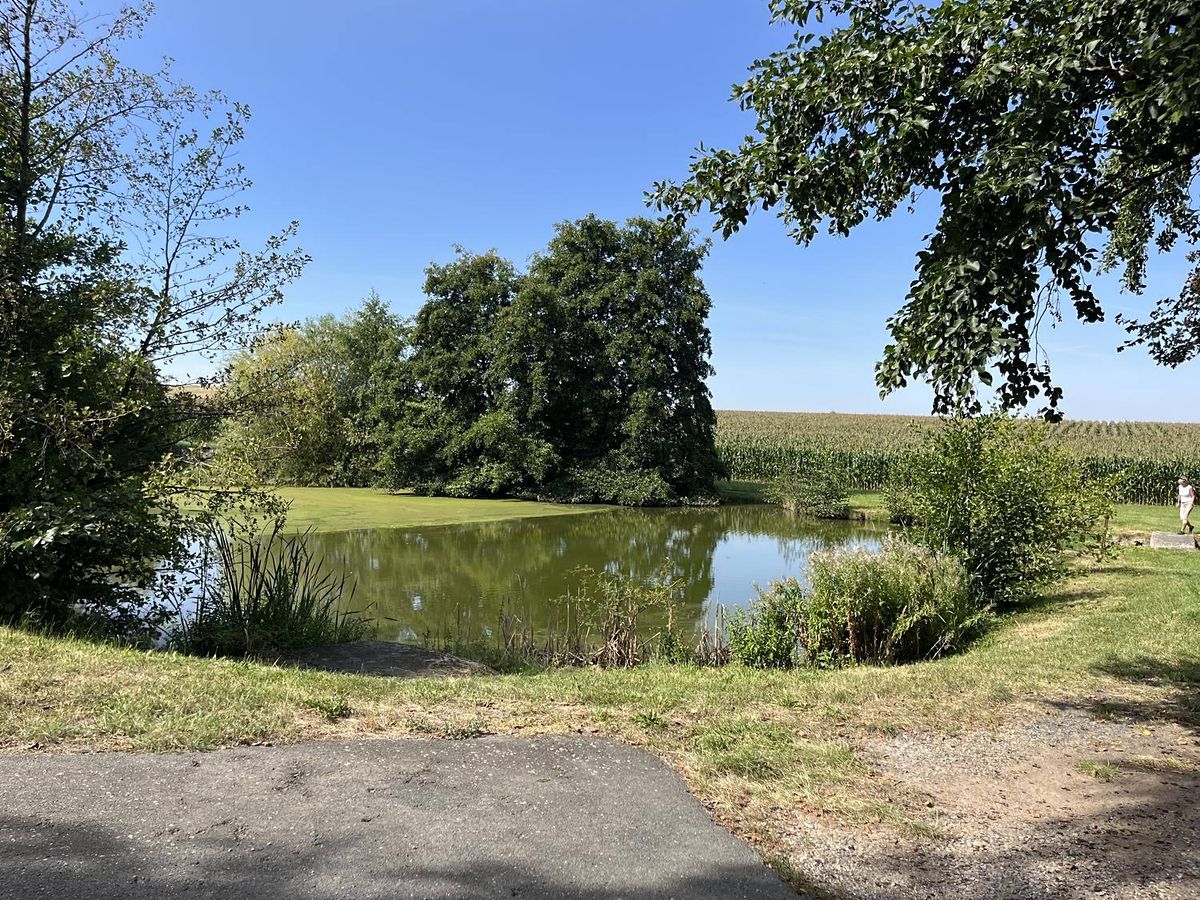 Prodej chalupy 161 m², pozemek 1812 m² – fotografie 4