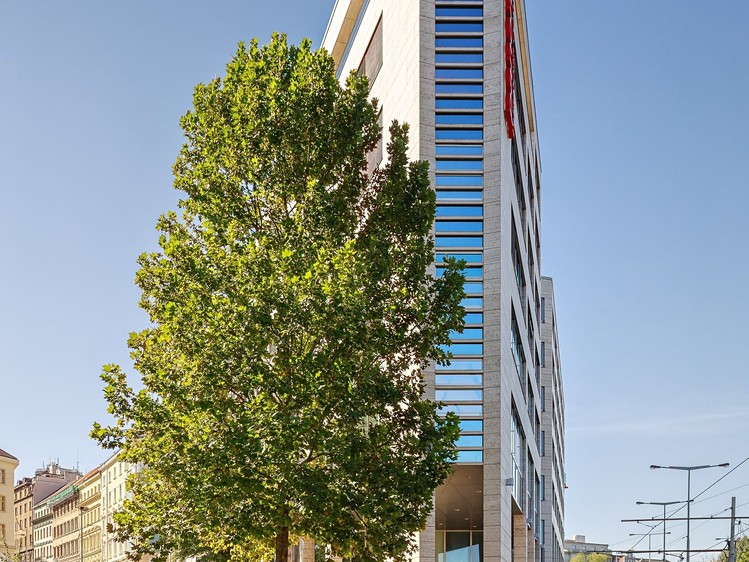 Комерційне приміщення в оренду, 837 м² (6 з 6)