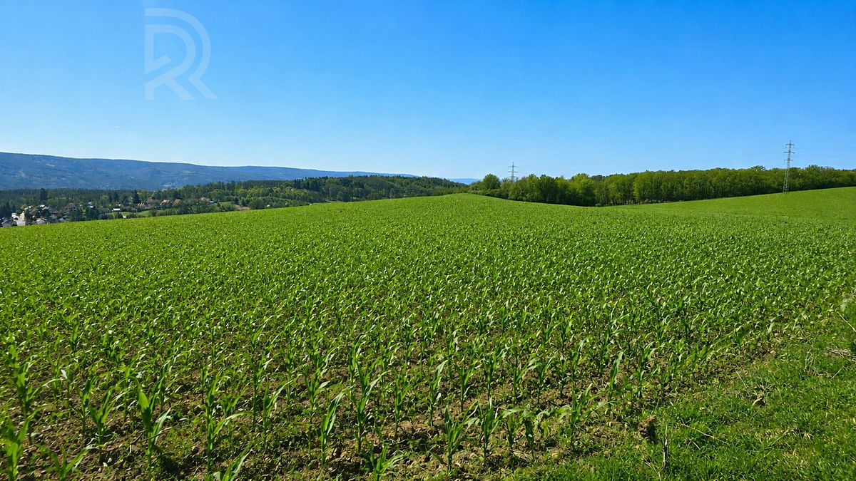 Prodej pole 60172 m² – fotografie 4