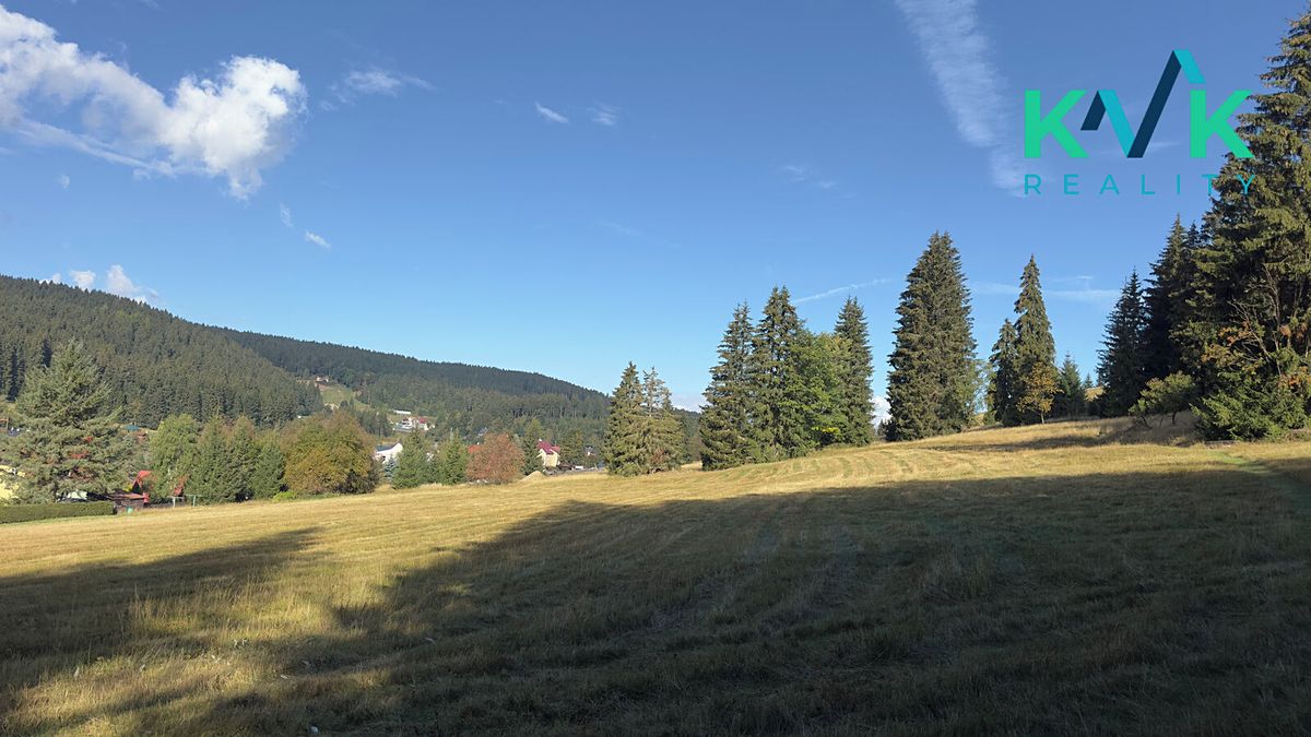 Prodej louky 25316 m², Pernink – fotka 1 z 3
