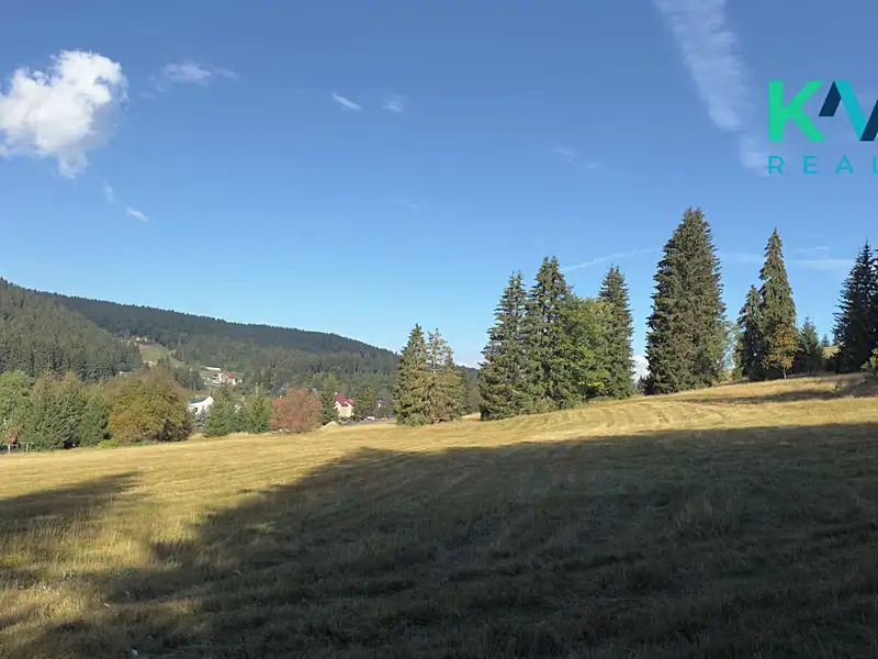 Prodej louky 25316 m², Pernink – náhled fotky 1