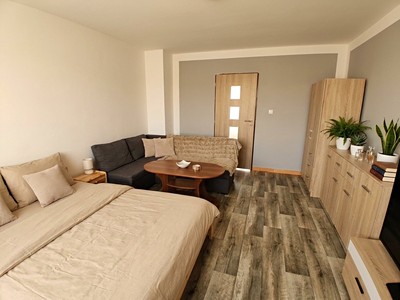 Pronájem bytu 1+1 40 m²
