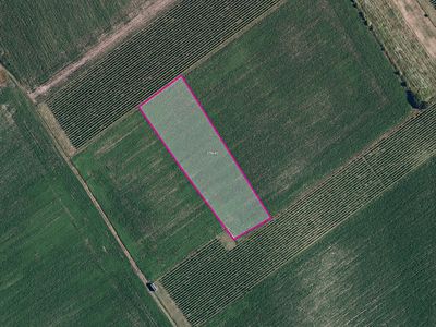 Prodej pole 6317 m²