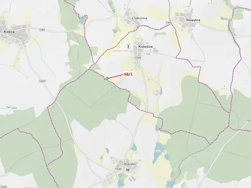 Dražba lesa 2849 m², Krátošice – náhled fotky 1