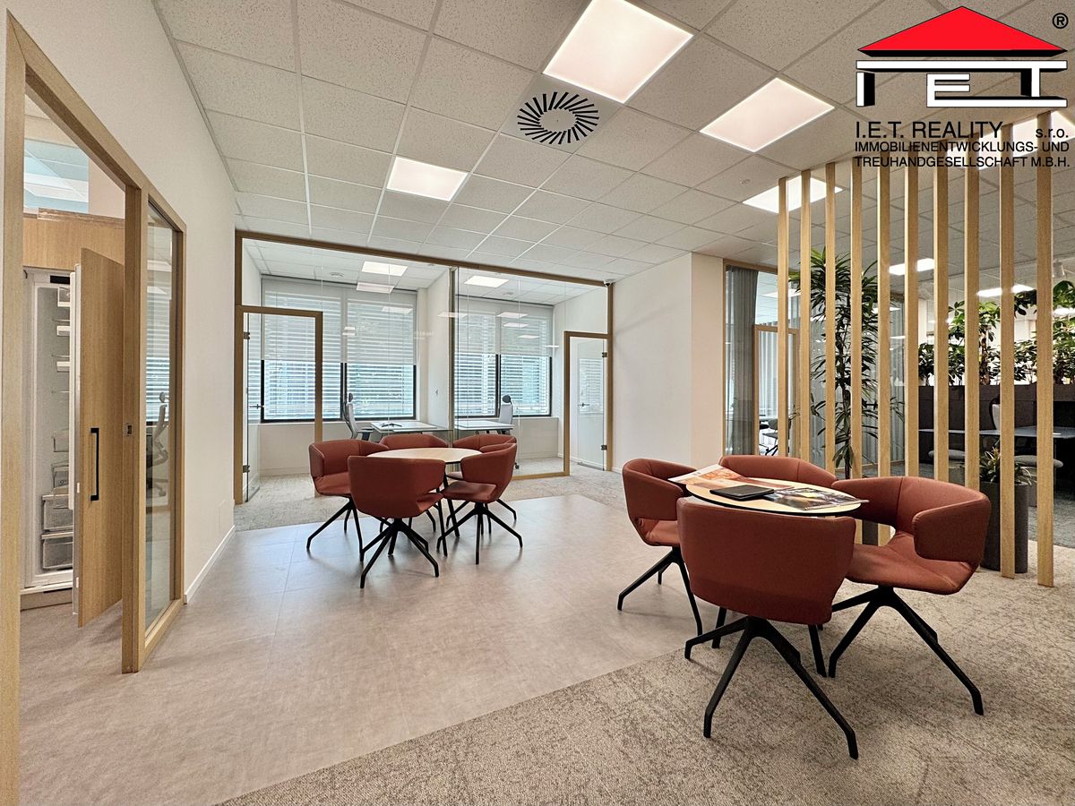 Pronájem kanceláře 342 m² – fotografie 3