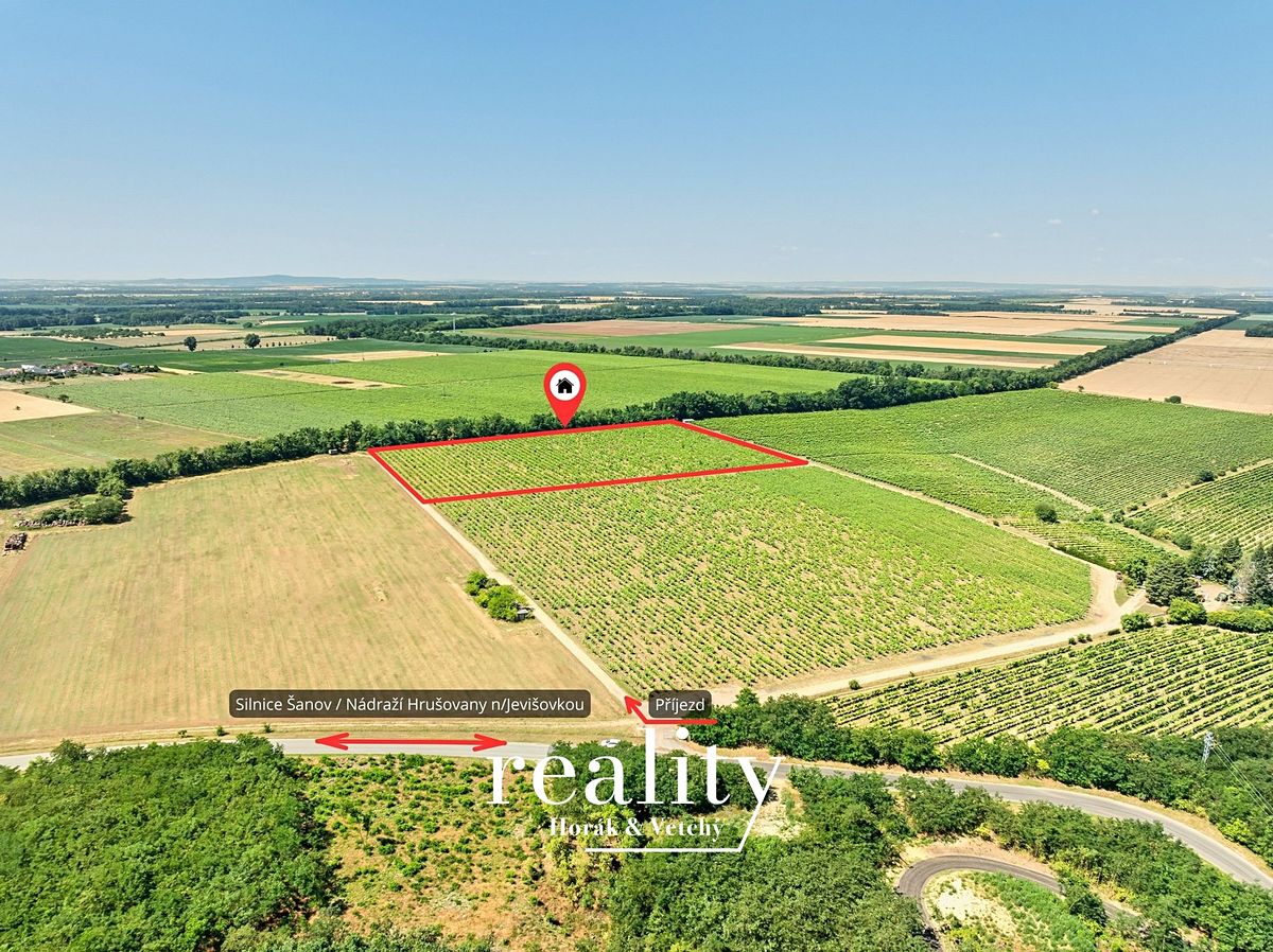 Prodej sadu, vinice 33963 m²