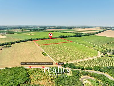 Prodej sadu, vinice 33963 m²