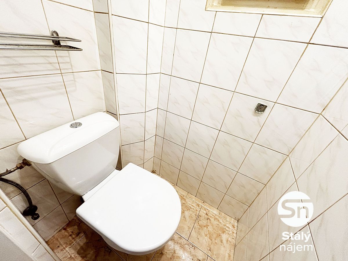 Pronájem bytu 1+1 48 m² – fotografie 4