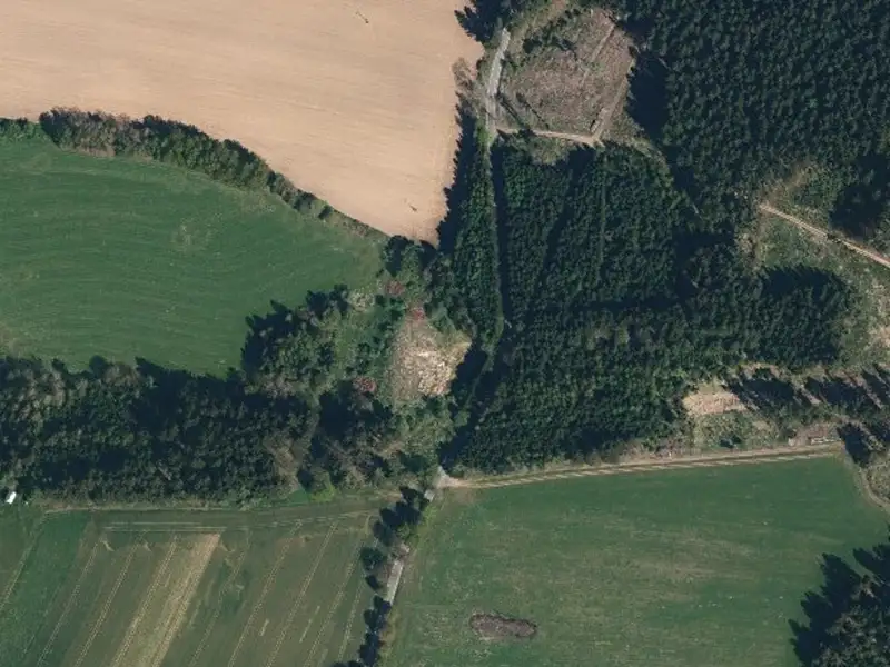 Dražba lesa 7712 m², Pelhřimov – náhled fotky 3