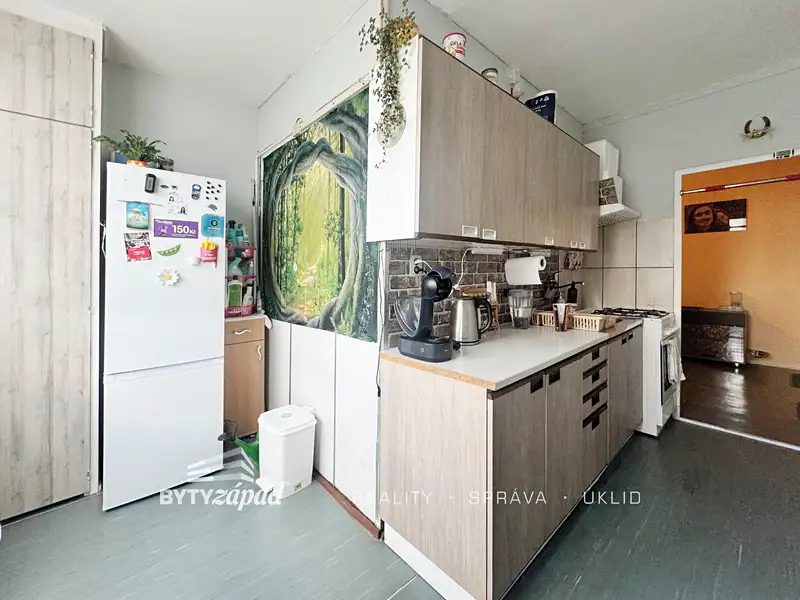 Pronájem bytu 2+1 60 m², Třemošná – náhled fotky 3