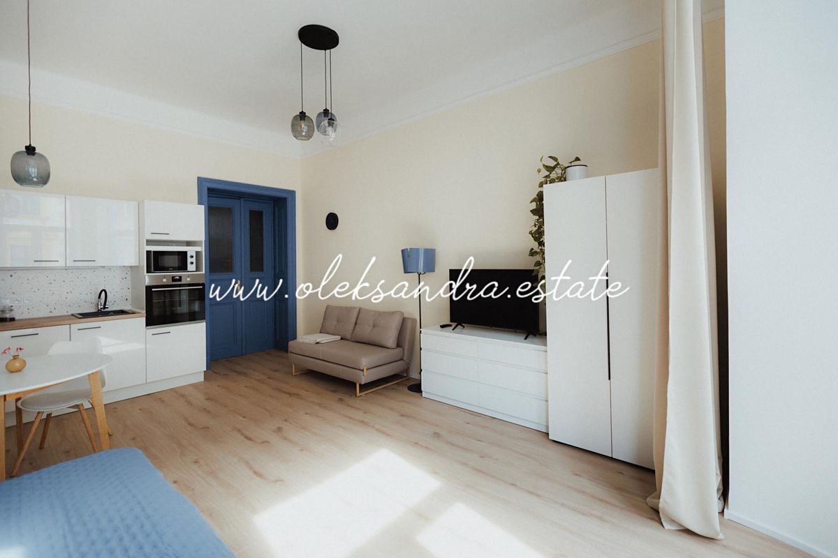 Pronájem bytu 1+kk 40 m² – fotografie 3