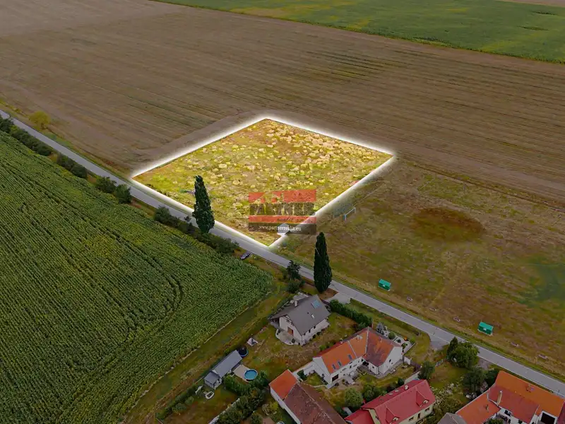 Prodej komerčního pozemku 8217 m², Pištín – náhled fotky 3