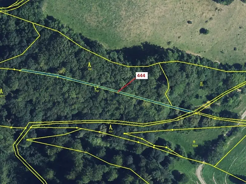 Dražba lesa 302 m², Městečko Trnávka – náhled fotky 2