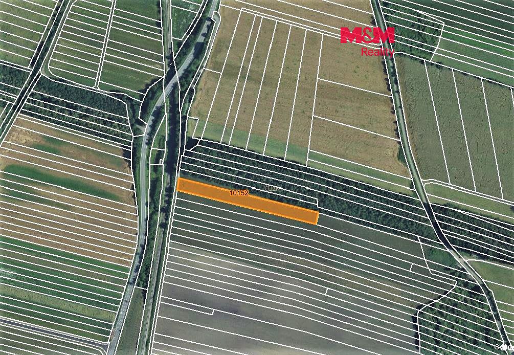 Prodej pole 1126 m², Javorník – fotka 1 z 3