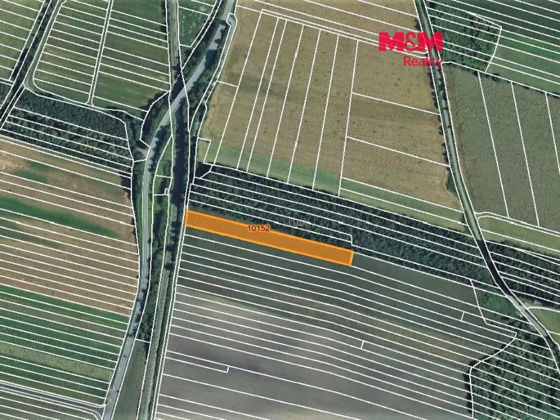 Prodej pole 1126 m², Javorník – náhled fotky 1