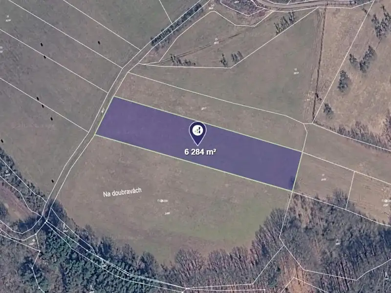 Prodej pole 6284 m², Vyskeř – náhled fotky 1