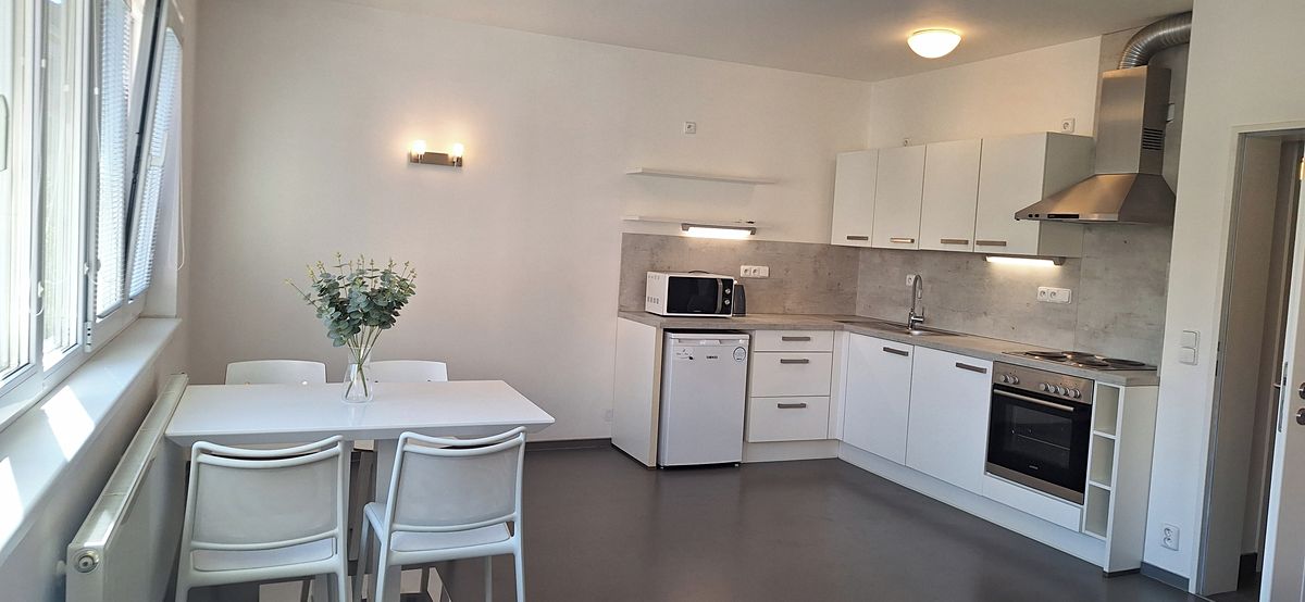 Pronájem bytu 1+kk 46 m²