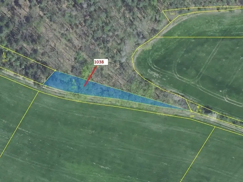 Dražba lesa 953 m², Nové Dvory – náhled fotky 2
