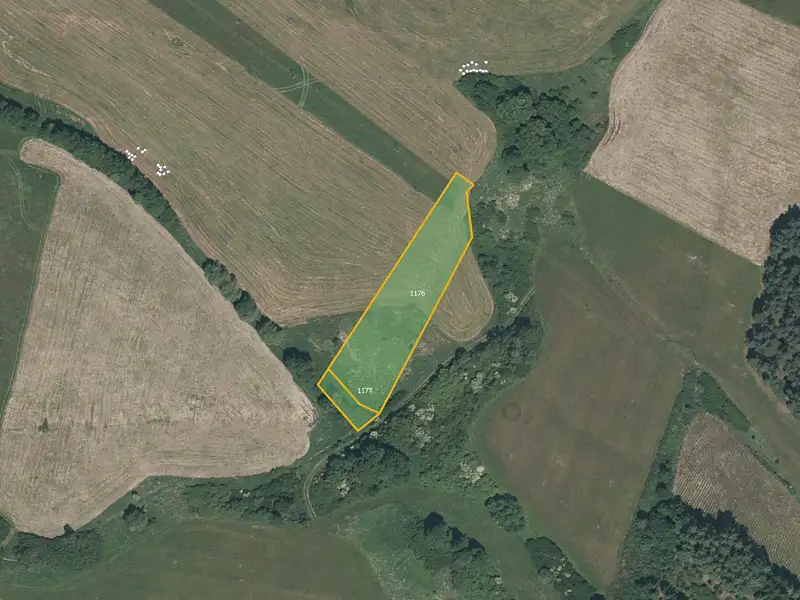 Prodej louky 13638 m², Pačejov – náhled fotky 2
