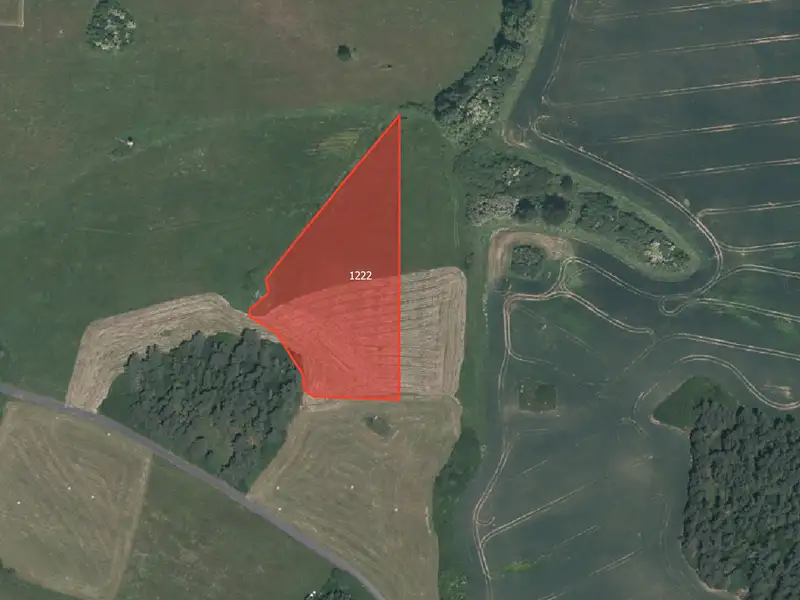 Prodej louky 4740 m², Pačejov – náhled fotky 1