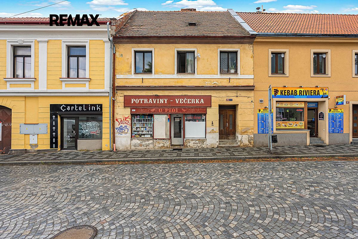 Prodej rodinného domu 250 m², pozemek 156 m² – fotografie 3