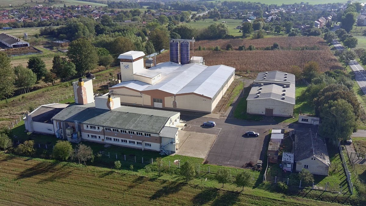 Pronájem skladového prostoru 977 m² – fotografie 2