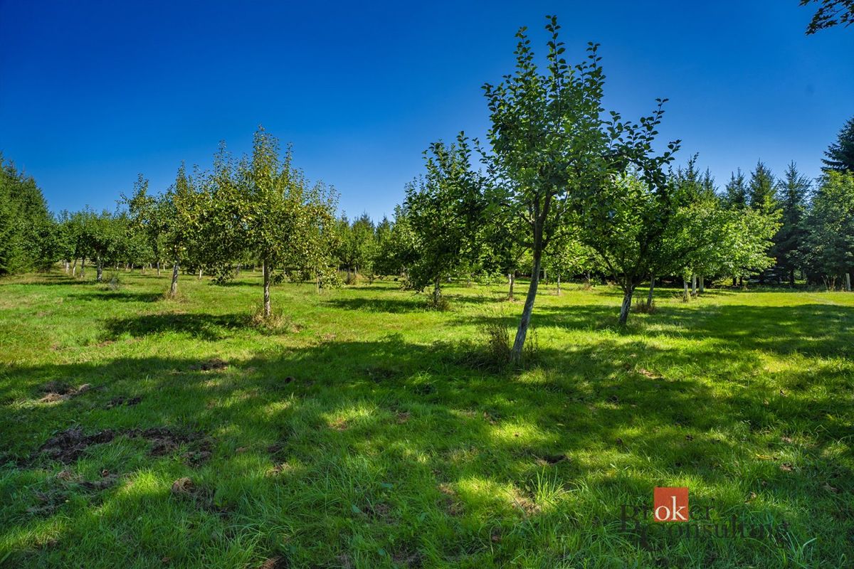 Prodej stavebního pozemku 12049 m² – fotografie 3