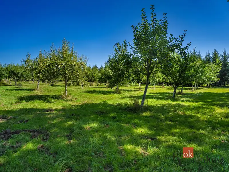 Prodej stavebního pozemku 12049 m², Varnsdorf – náhled fotky 3
