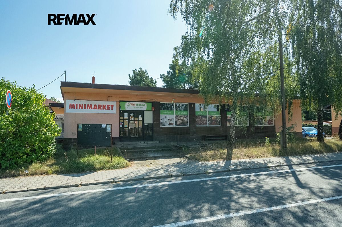 Prodej obchodního prostoru 250 m²
