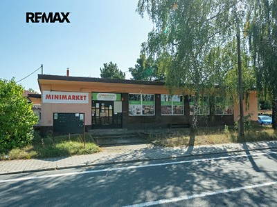 Prodej obchodního prostoru 250 m²